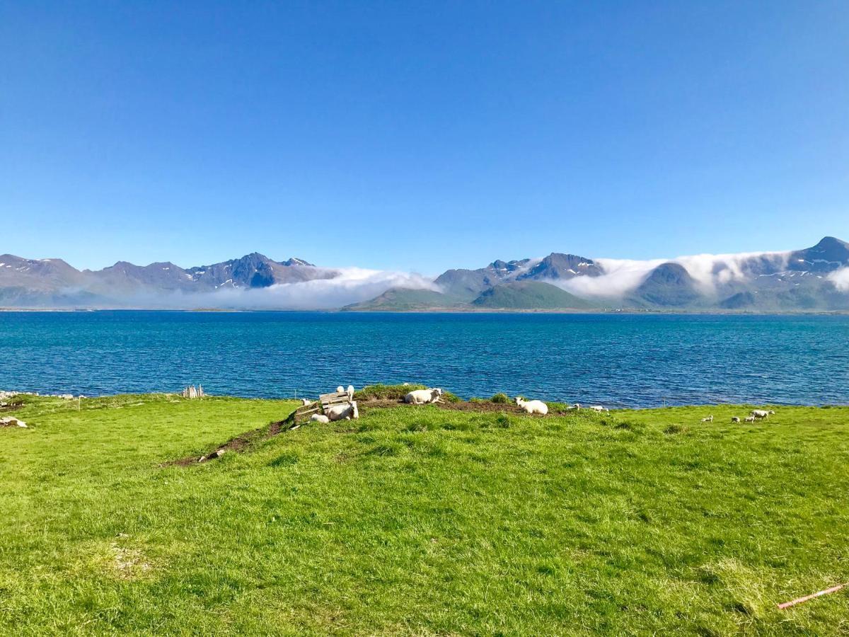 Salmon Lodge Lofoten Лекнес Екстер'єр фото